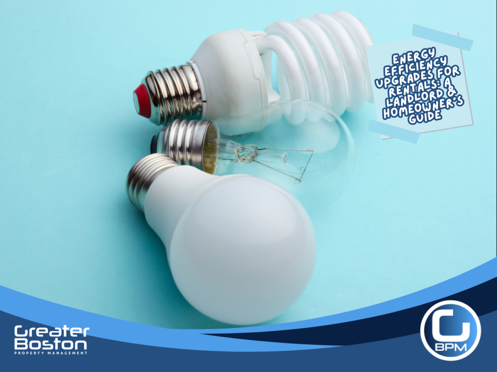 LED, CFL, and incandescent light bulbs comparison for energy-efficient rental property upgrades