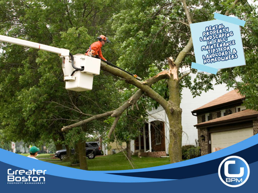 Professional trimming overgrown tree branches near a rental property roof during fall maintenance