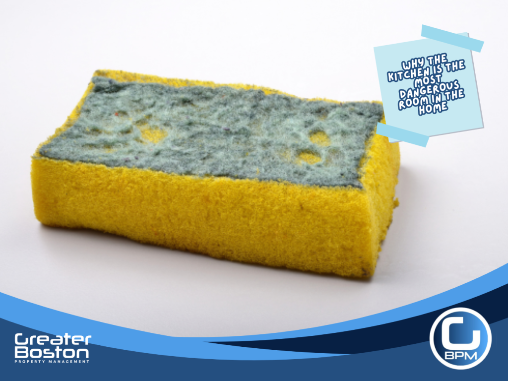 Moldy kitchen sponge showing bacteria buildup on the surface, highlighting hidden kitchen hygiene hazards for landlords and homeowners.