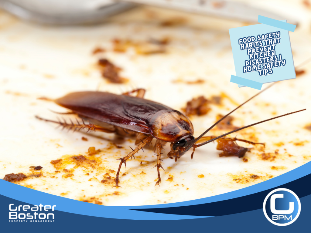 Food safety practices using airtight pantry containers to prevent pests like ants, mice, and roaches in rental kitchens.