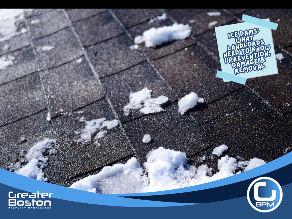 Snow and ice buildup on asphalt roof shingles showing developing ice dam on rental property.
