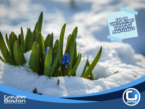 Green plants emerging through melting snow symbolizing end of winter and start of spring property maintenance season.