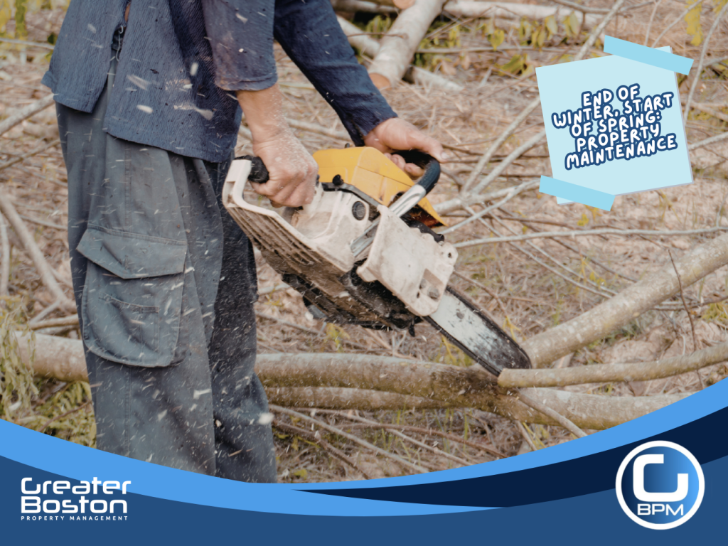 Person using a chainsaw to remove fallen tree branches during spring yard cleanup and landscaping maintenance.