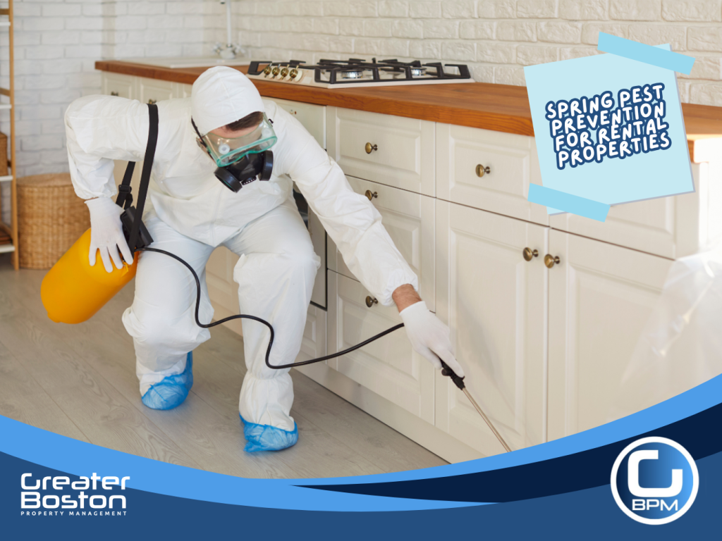 Pest control professional spraying kitchen cabinets to treat infestation in rental property during spring maintenance.