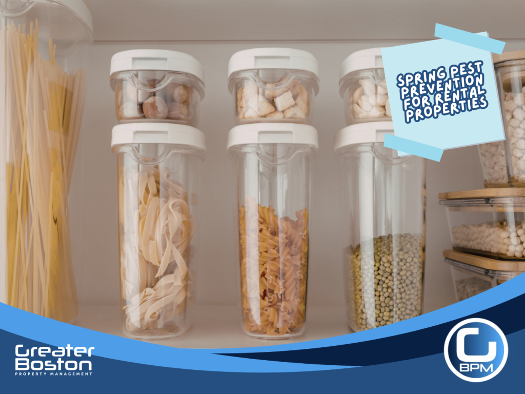 Sealed food containers and organized pantry storage to prevent pests in rental property kitchen during spring maintenance.