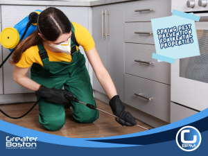 Pest control technician treating kitchen baseboards to prevent infestations in rental property during spring maintenance.