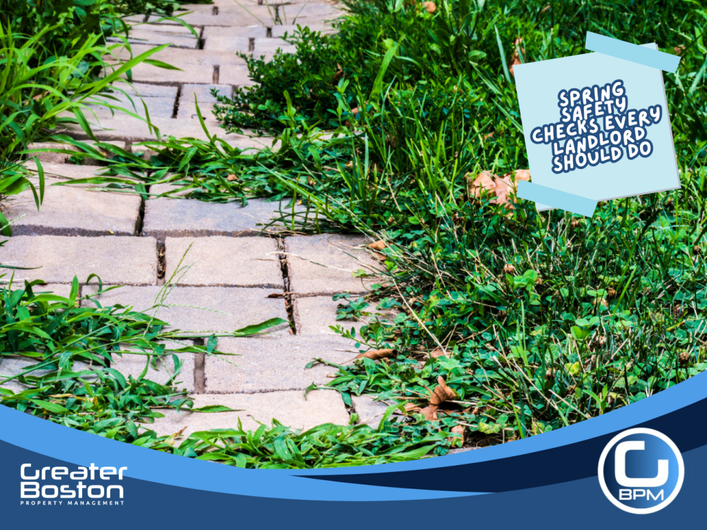 Overgrown grass and weeds blocking a walkway creating outdoor safety hazard at rental property during spring.